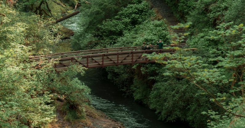 Outdoor Adventures - Bridge Over River in Forest